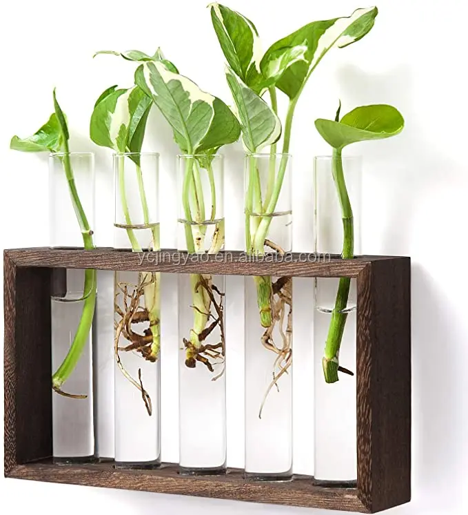 

Wall Hanging Glass Planter Propagation Station Modern Flower Bud Vase in Wood Stand Rack Tabletop Terrarium for Decoration, Clear
