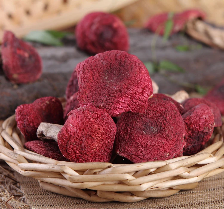 
Low price pollution-free Russula vinosa Lindbl Mushroom 