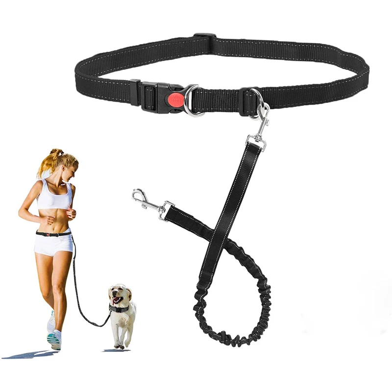 

Pet Products Retractable Hands Free Running Polyester Dog Leash