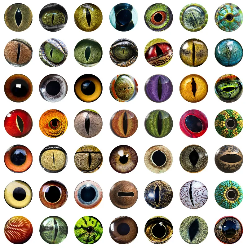 

Simulated Animal Dragon Cat Eyes 10mm 12mm 14mm 16mm 18mm 20mm 25mm Handmade Photo Glass Cabochons DIY Making Accessories
