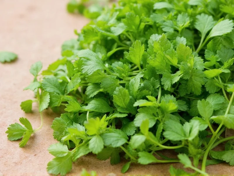 Best Coriander Substitutes: 7 Effective Alternatives for Cooking