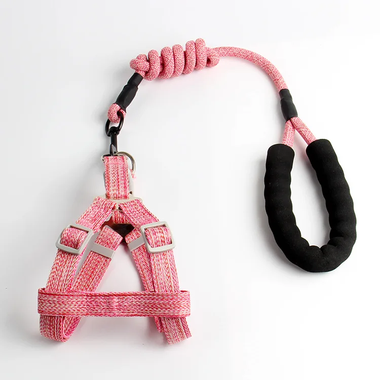 

Wholesale pet traction rope collar pet leash dog leather belt cotton leash