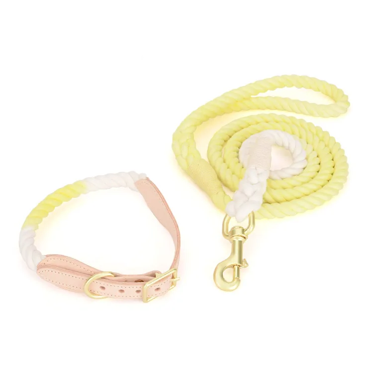 

Dog Collar With Matching Dog Leash