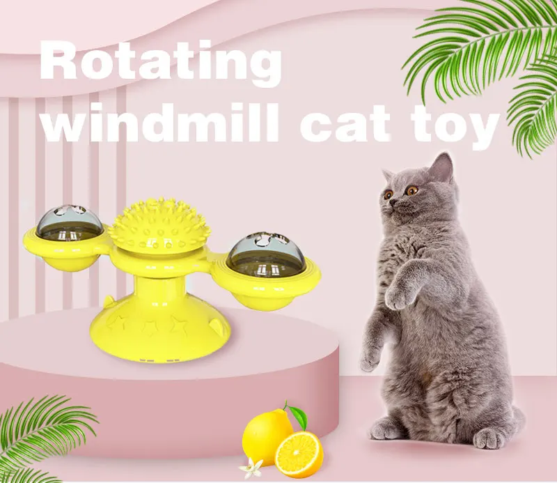 cat spin toy