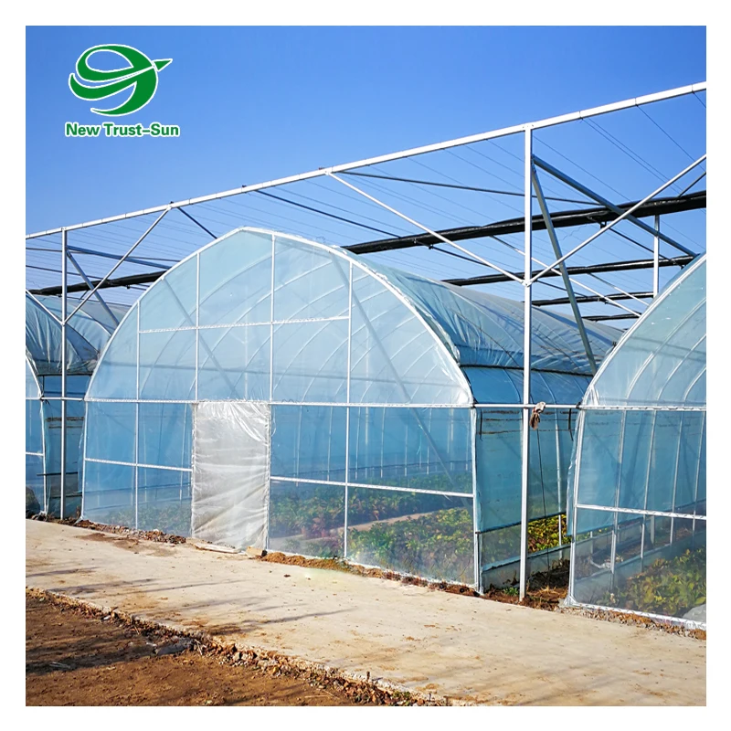 
Customized low cost plastic film poly tunnel aquaponic single-span greenhouse 