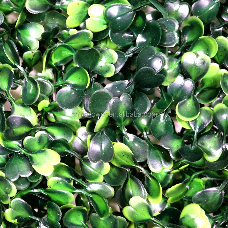 green grass wall   (3).jpg