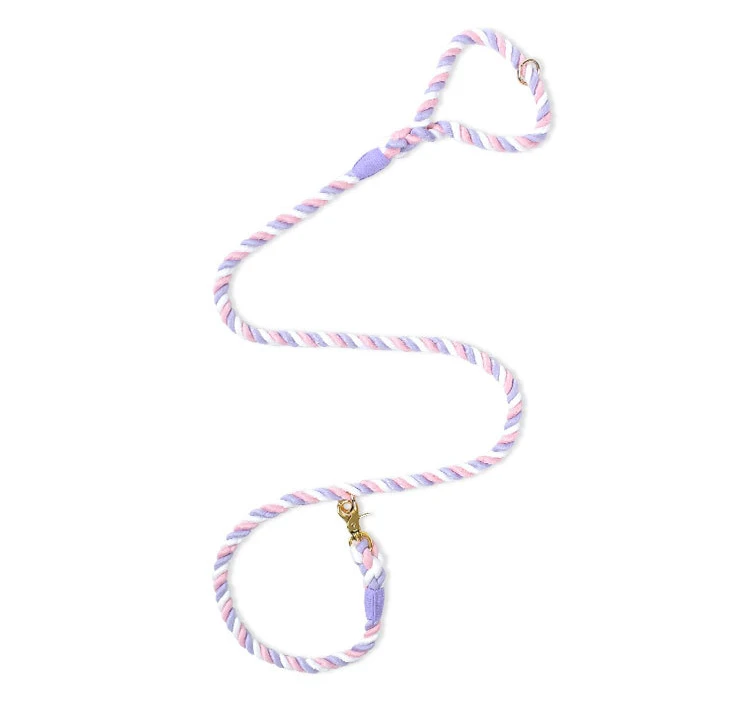 

New Arrival Multicolor Design One-piece Braid Cotton Dog Collar Leash