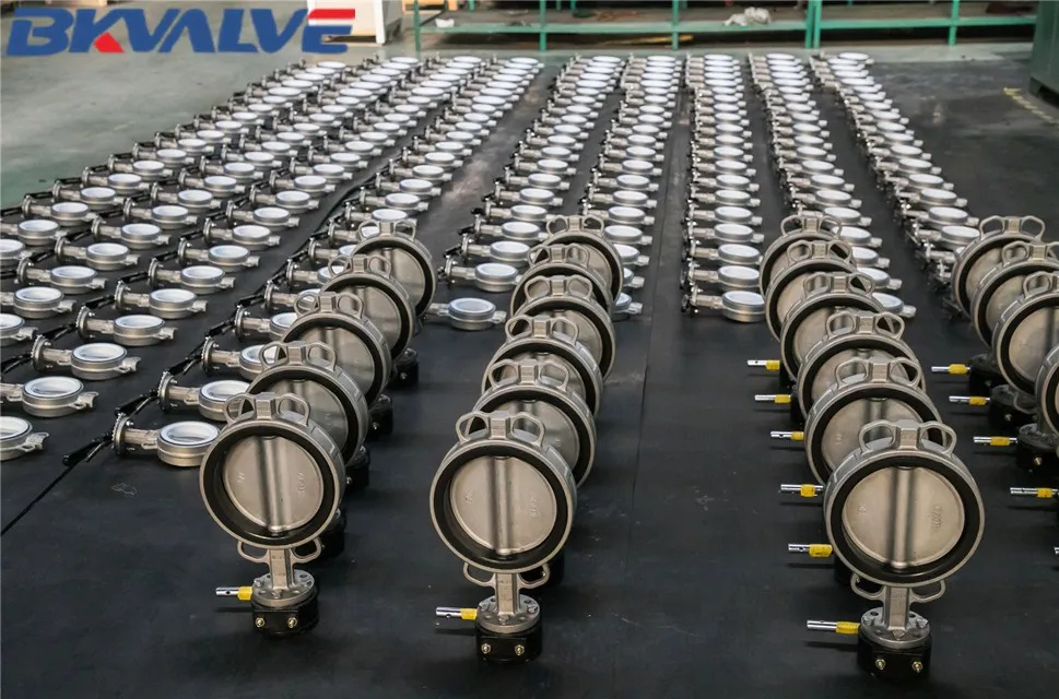 butterfly valve-CF8M_1.jpg