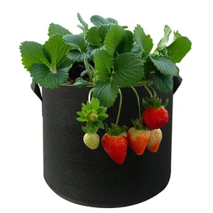 Image of 3 / 5 / 7 / 10 / 15 / 20 / 25 / 45 / 60 Gallon Felt Fabric Pot Grow Bag for trees