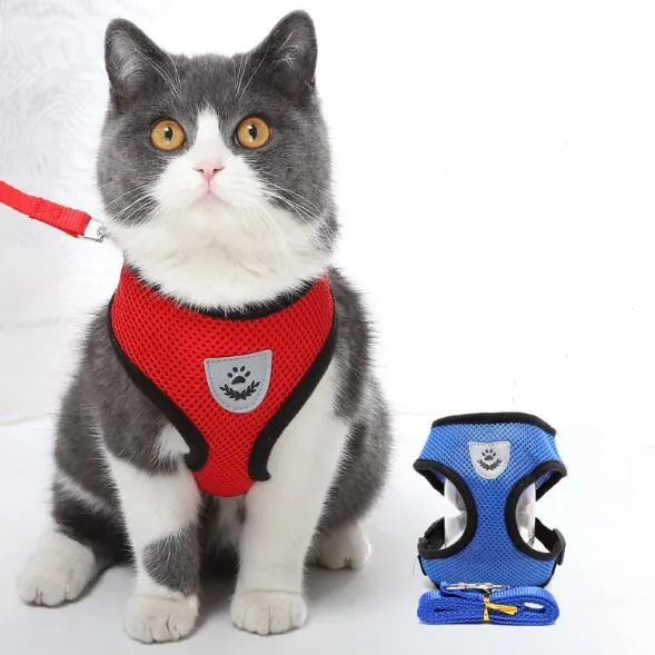 

Manufacturer Wholesale Soft Mesh Durable Cotton Pet Dog Reflective Backpack Harness And Leash Set