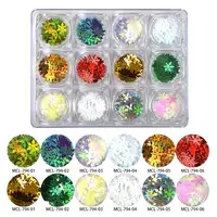 

12 Colors Laser Snowflake Nail Art Sequin Autumn Design Spangles for Nail