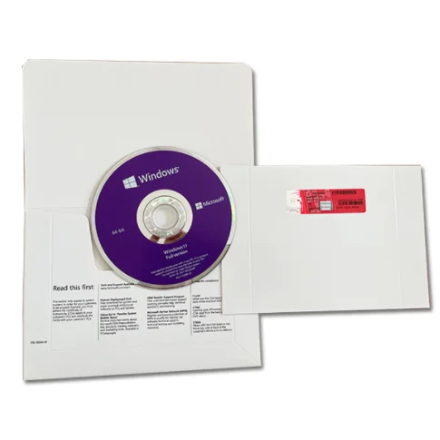 Windows 11 Professional Key Di