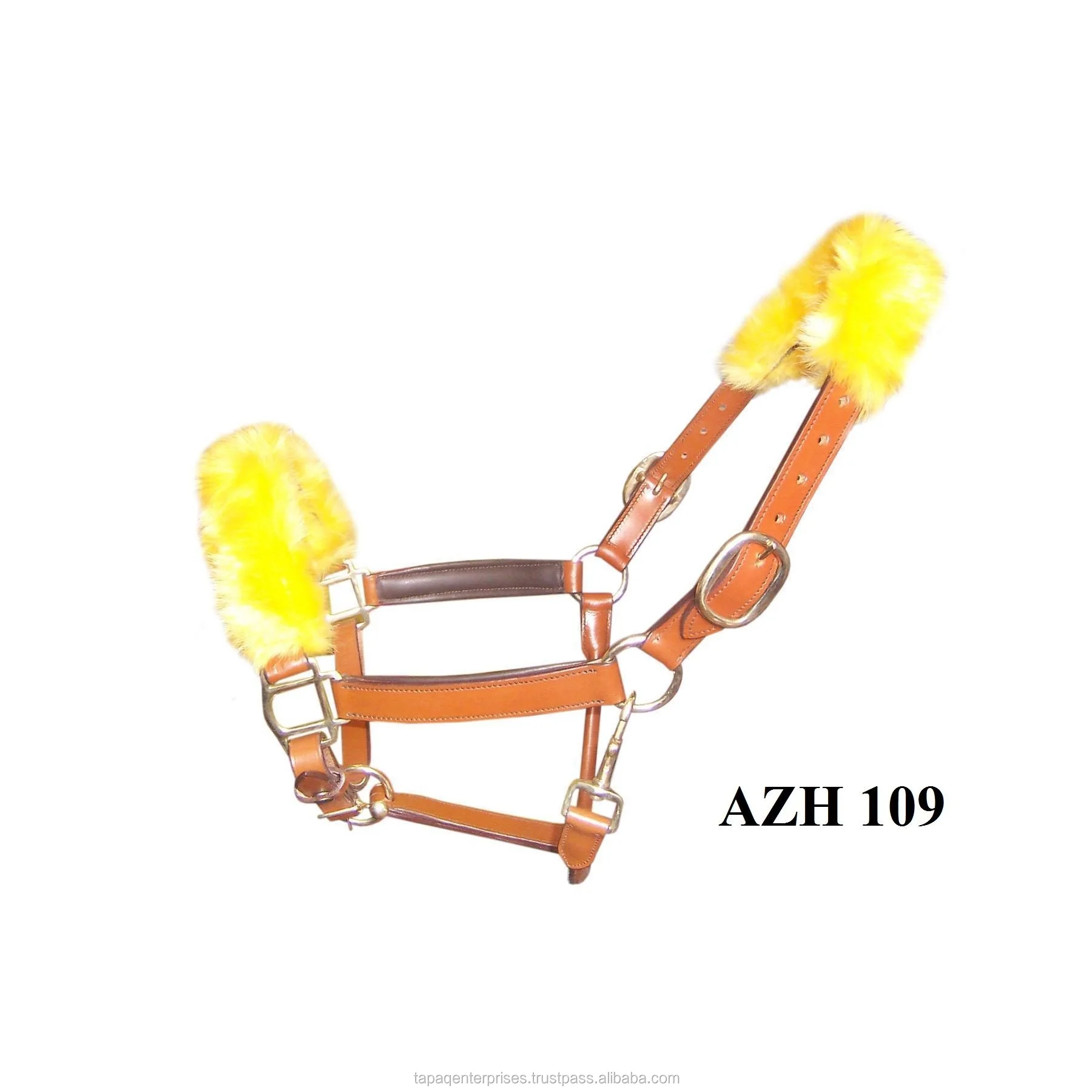 AZH 109.jpg