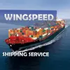 amazon international Shenzhen logistics company container forwarder shipping agent service------Skype: shirley_4771