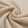 Warp Knitting 200gsm One Side Brushed Spandex Super Soft Velvet Winter Garment Lining Fabric