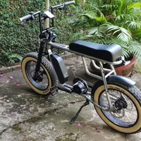 

Mario top 48v 1000w mid motor suspension fat electric bicycle