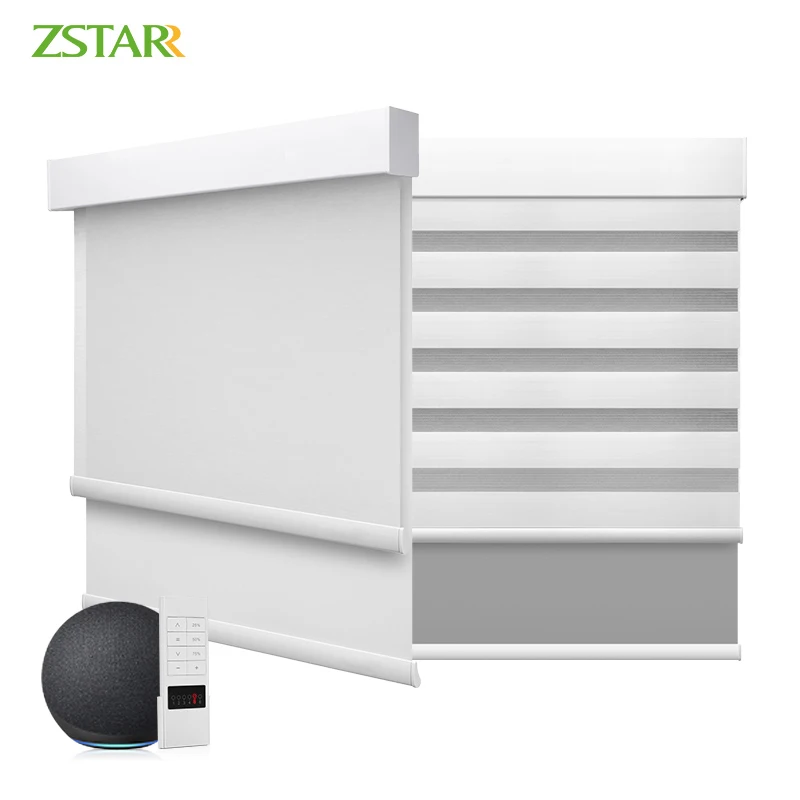 Smart Blinds Alexa Motorized Day and Night zebra Roller Curtain Fabric Shades zebra Window Blinds Automatic Blinds