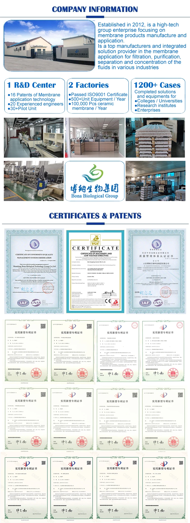 Company Information.jpg