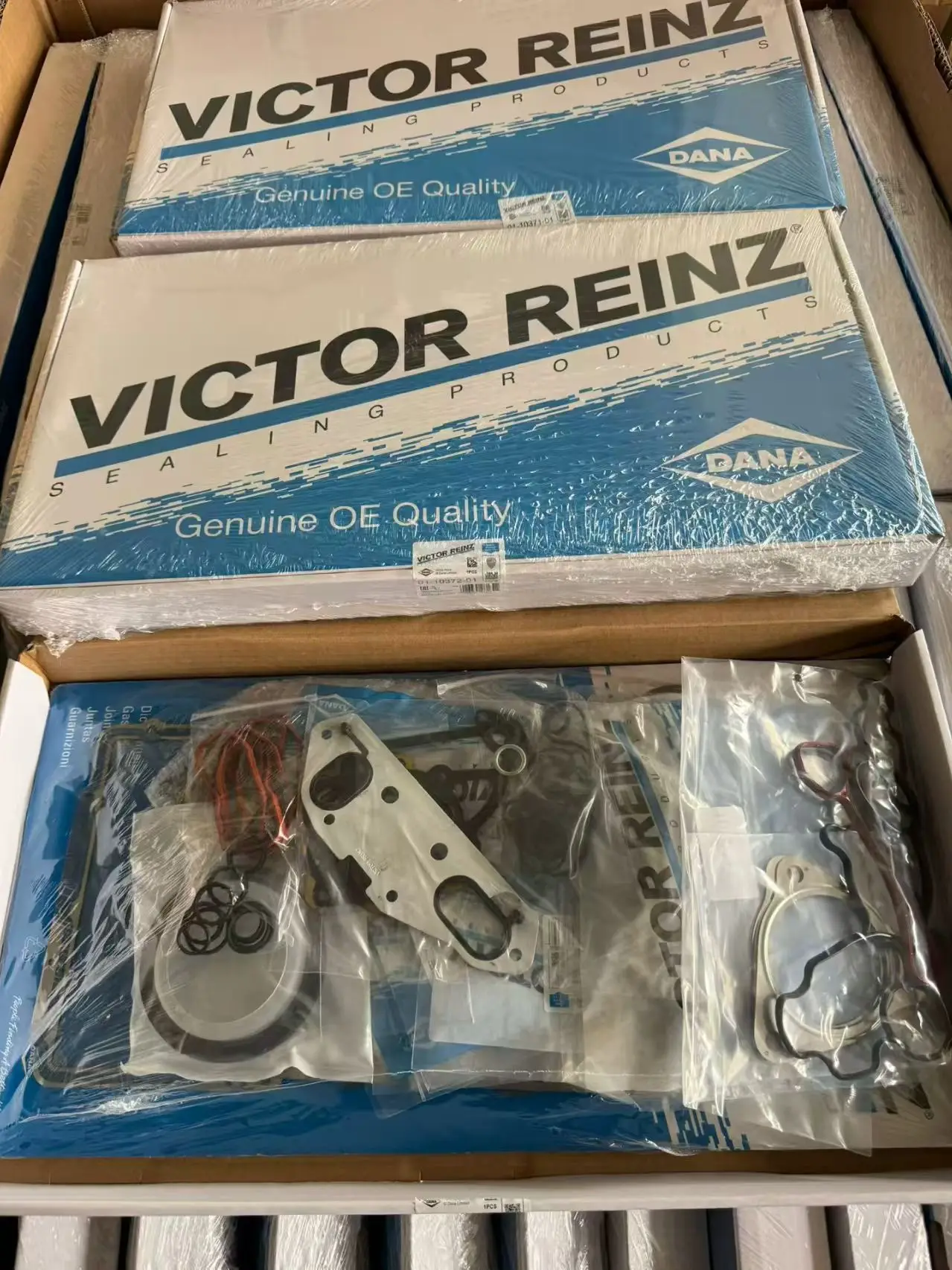 Victor Reinz