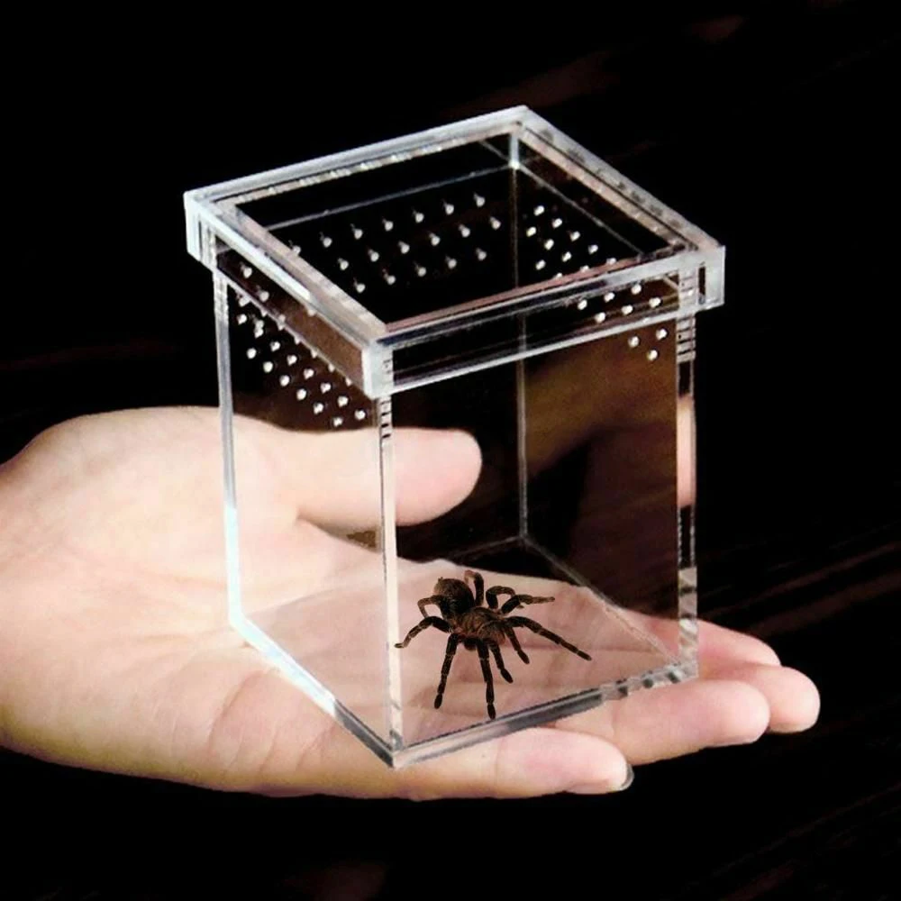 

High Transparent Acrylic Pet Reptile Insects Case Breathable Breeding Small Spider Box, Clear