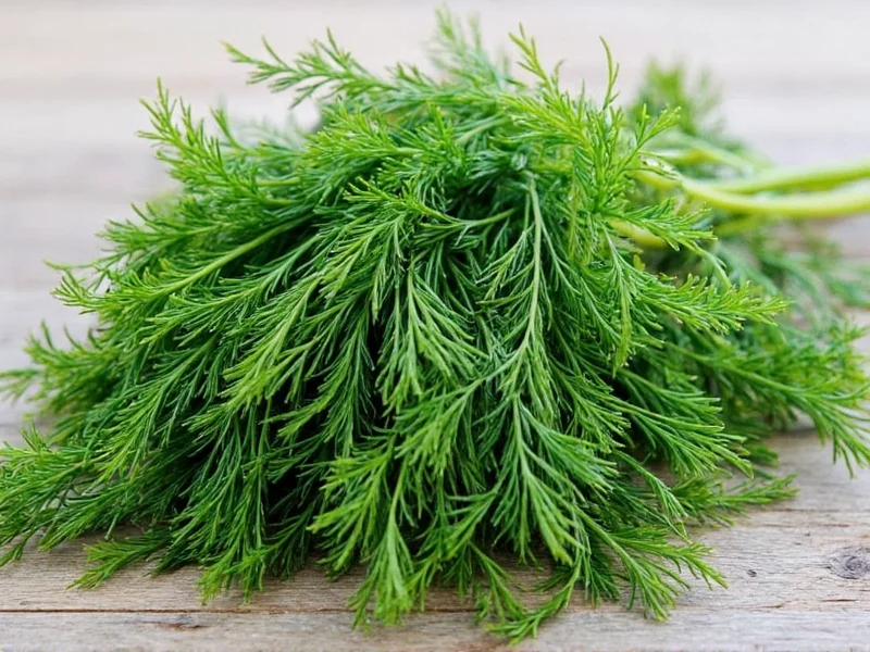 Which Parts of Dill Are Used in Cooking: Complete Guide