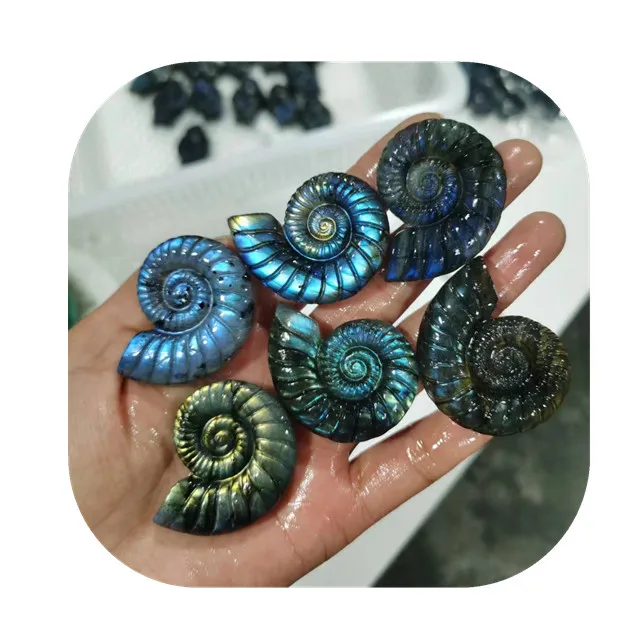 

natur carv gemstones crystal spiritual crafts blue flash labradorite conch screw for gift