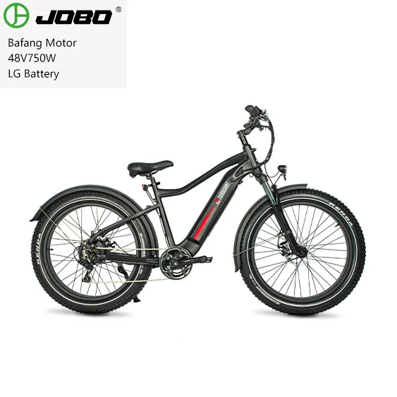 

48volt 750 watt ebike light 26 inch electric bicycle 45km/h electric moped mountain bike