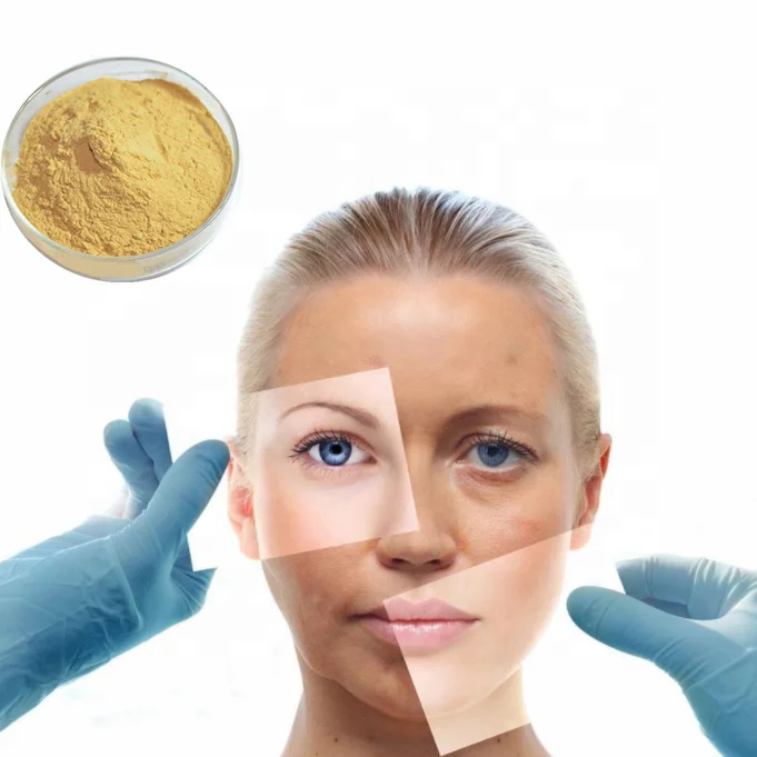 anti-aging Caffeic acid powder 331-39-5 3 4-dihydroxy-cinnamic acid pure Caffeic acid