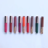 

High pigment long lasting unlabeled make your own multi colors matte liquid lipstick with LOW MOQ