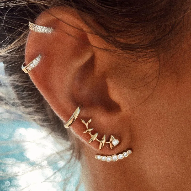 

Street Style New Fashion Fashion Women Full Diamond Back Hanging Fish Bone Earrings Earring Set