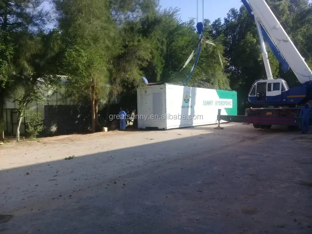 
How to Hydroponic Grow hemp Weed in machinery system 