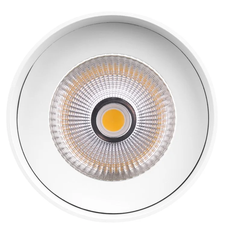 Factory l manufacture IP44 Aluminum  Surface Mounted Fixed Light Led Ceiling  Fixture Down lights