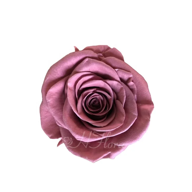 

HFlora handmade 6~7cm 6pcs/box eternal elegant natural Single Color preserved Rose Head with box for Valentine's Day