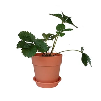 Large Size Plastic Flower Pot Price Plant Pots Buy Large Size Plastic Pots Flower Pot Price Plant Pots Large Product On Alibaba Com