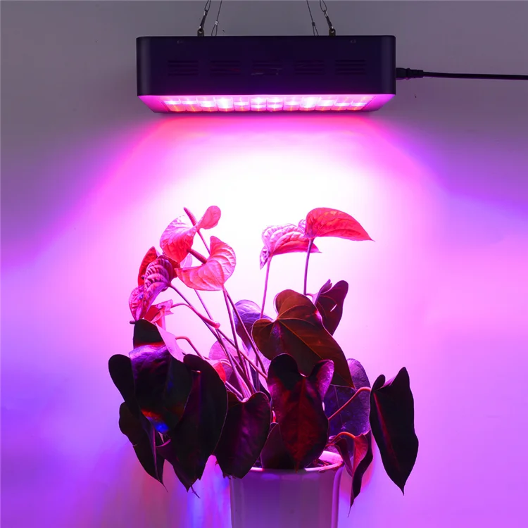 led grow light