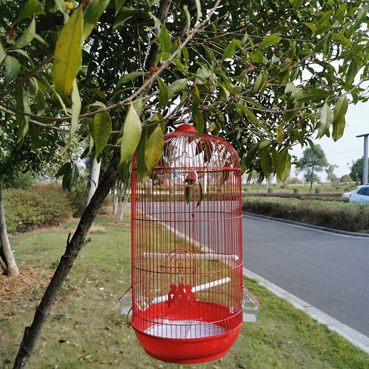 large round bird cage for sale