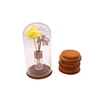 Fine Polished Big Dia Dry Flower Clear Glass Top Dome Cover /Led Light Borosilicate Bell Jar with wood base