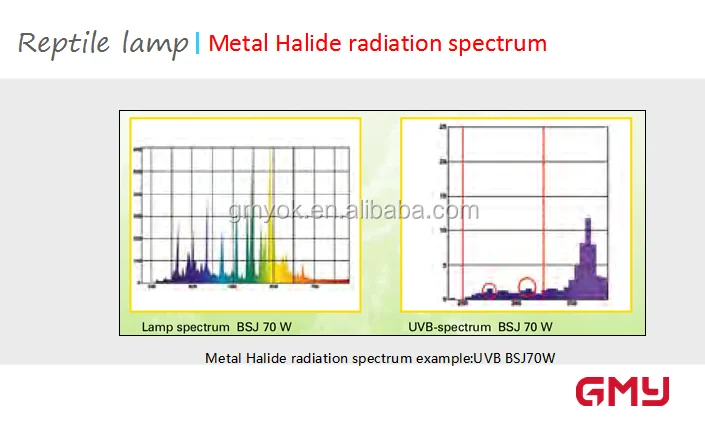 UVB reptile lamp.png