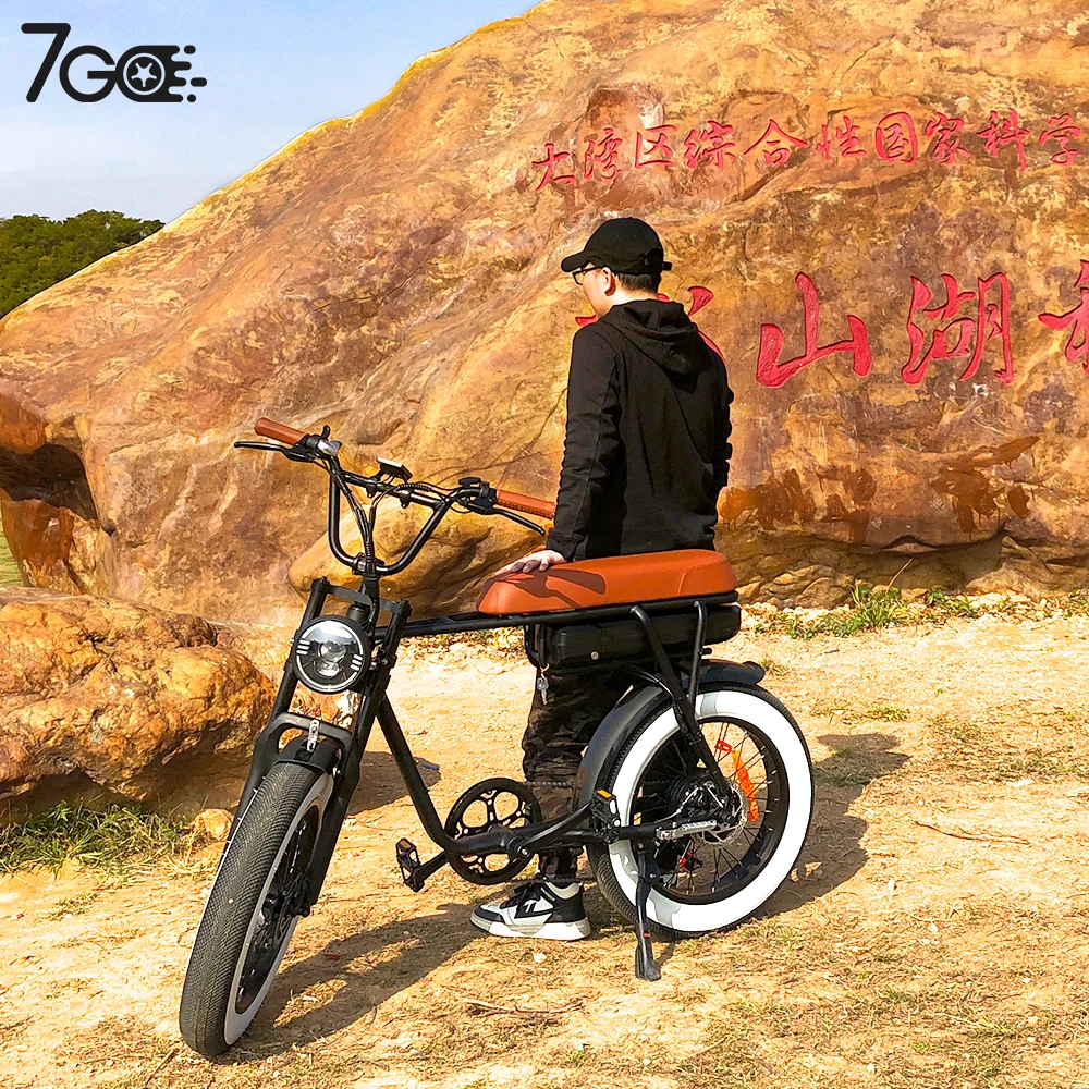

Electric Bicycle New Model High Quality Super Cool Fancy 73 for People to Ride Electric Off Road Bicycle Fat Tyre Cheap Electric