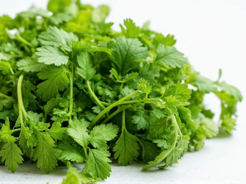 Best Alternatives for Coriander in Cooking