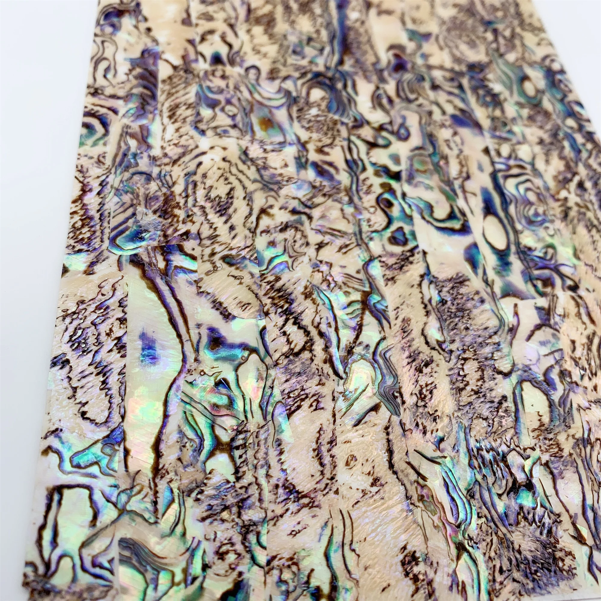 diy 热卖贝壳鲍鱼壳片纸碟纸家居装饰批发