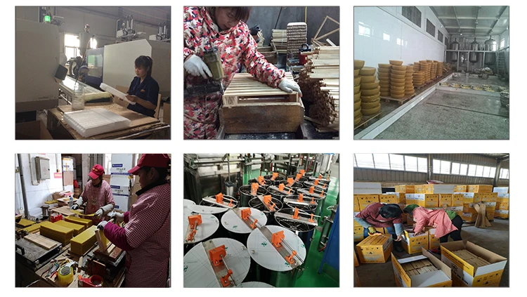 beekeeping queen cage