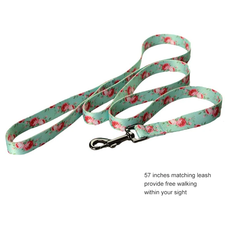 Pet Collar-73