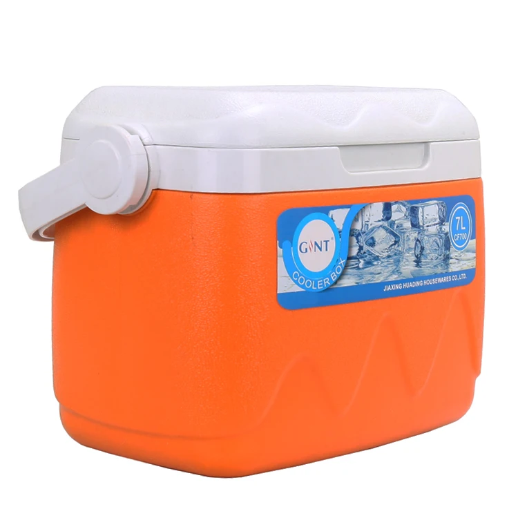 

GINT 7L Small Lunch Box Tote Picnic Ice Chest Cooler Box, Blue