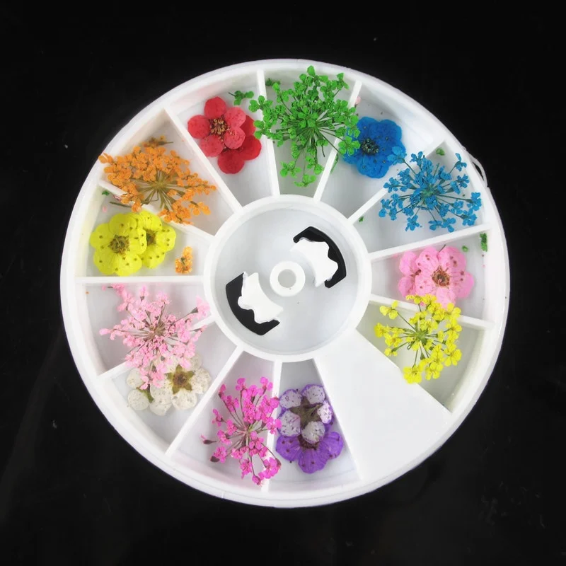 

Manicure dried flower 18 pieces 3D nail art decoration Narcissus for Nail Art