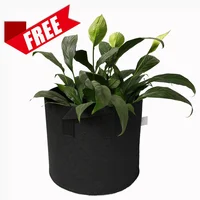 

Good sealed fabric pots 5 gallon fabric pots wholesale smart pots