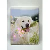 Support customization funny dog painting artistic painted art printing canvas print