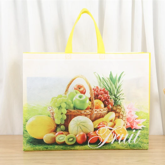 

Wholesale 2021 Fashion High Quality Handled Luxury Gift Non Woven Shopping Bag