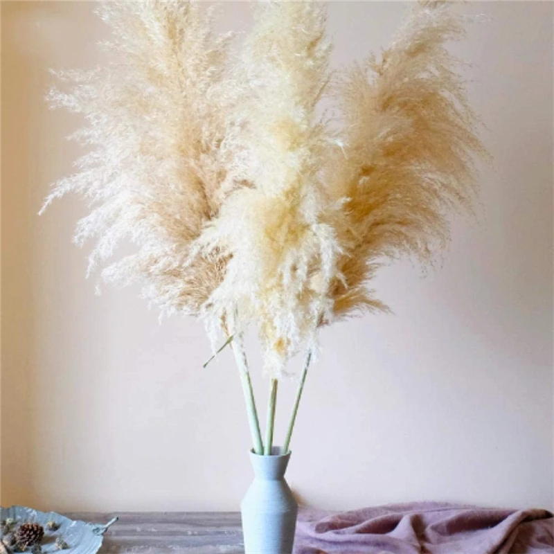

Free Sample Real Natural Dried Flower Large Pampas Grass For Interior Decoration