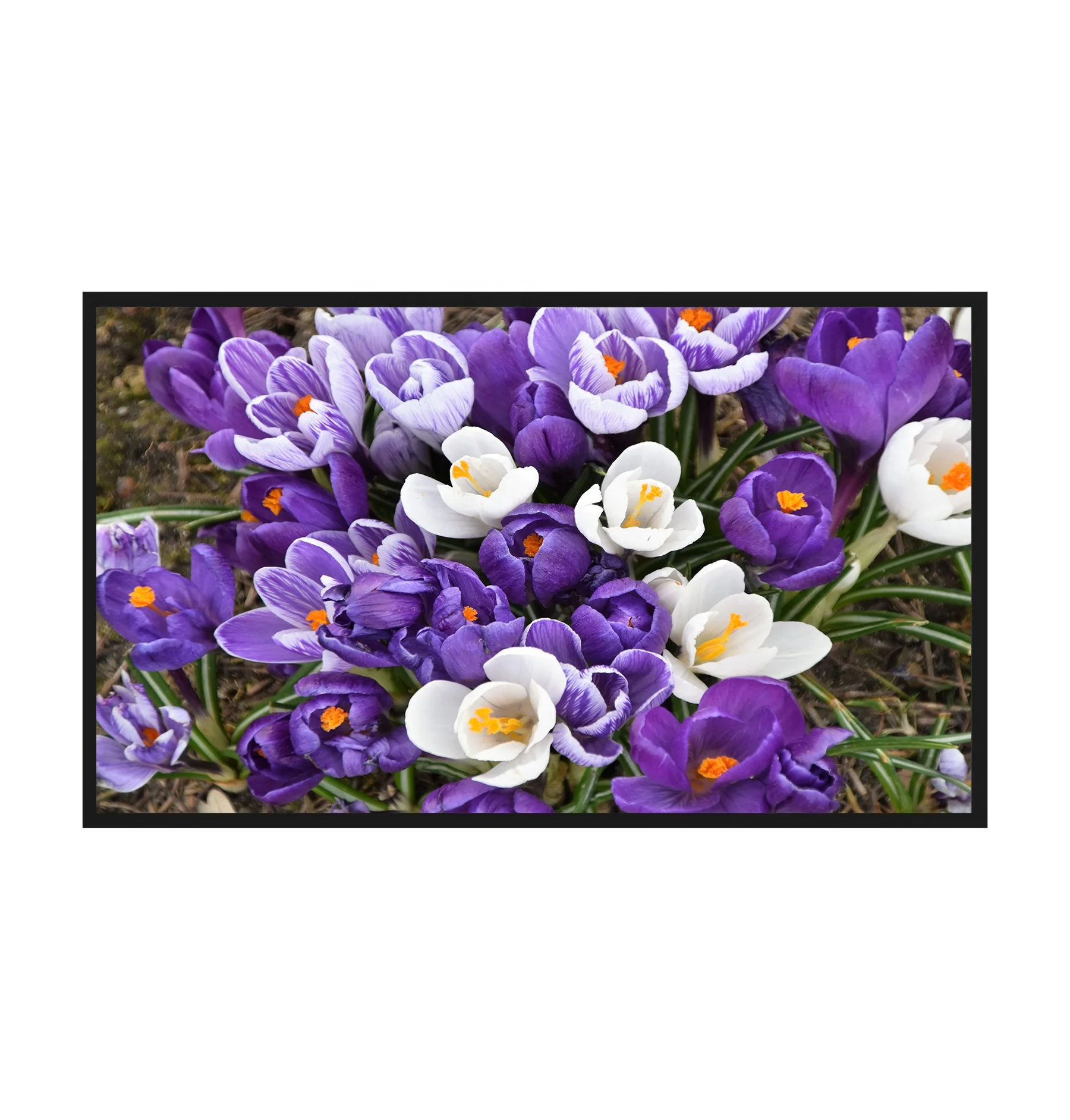 

150'' ALR fixed frame screen for UST projector laser tv movie screen